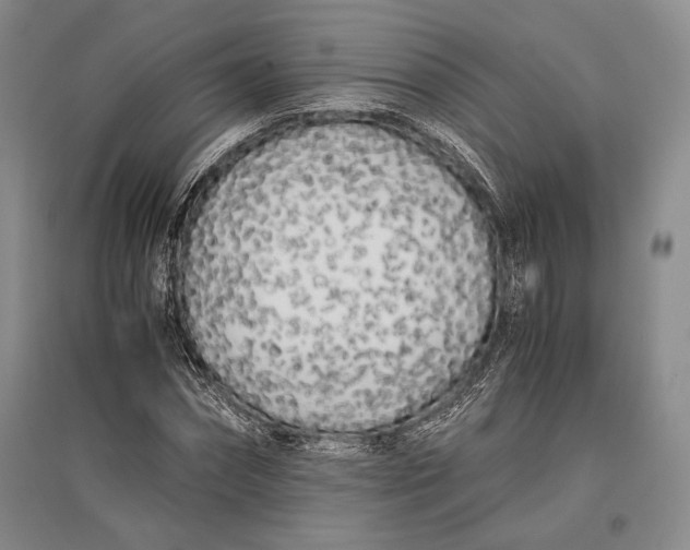 X0000096980874200802291143