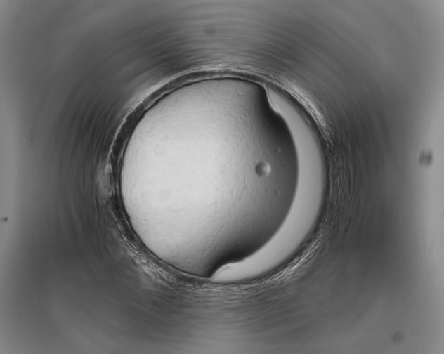 X0000096980876200802291143