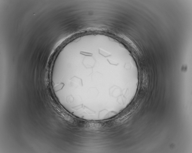 X0000096980878200802291143