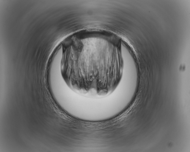 X0000096980879200802291143