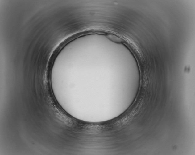 X0000096980880200802291143