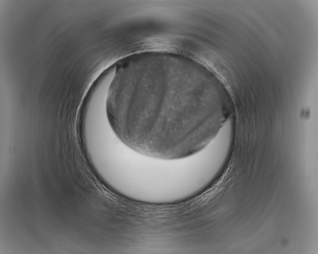 X0000096980883200802291143