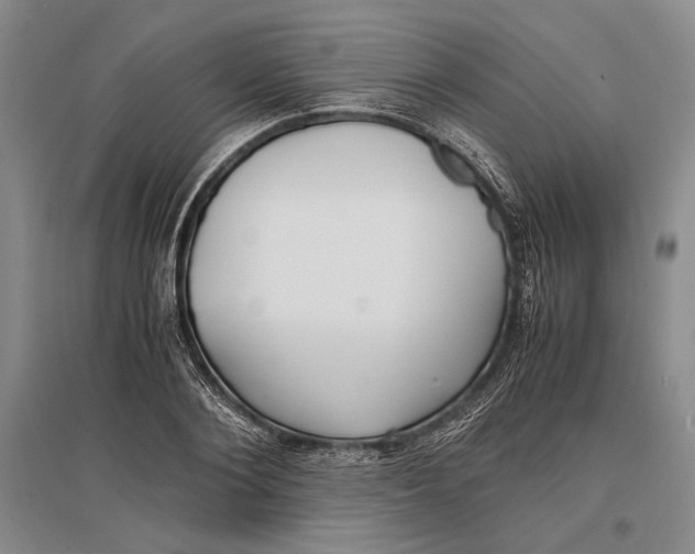 X0000096980884200802291143