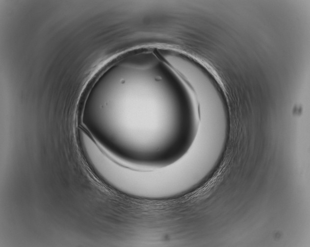 X0000096980887200802291143