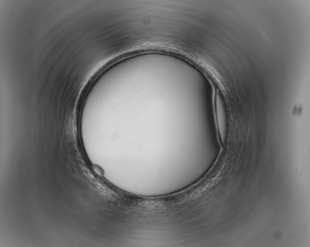 X0000096980888200802291143