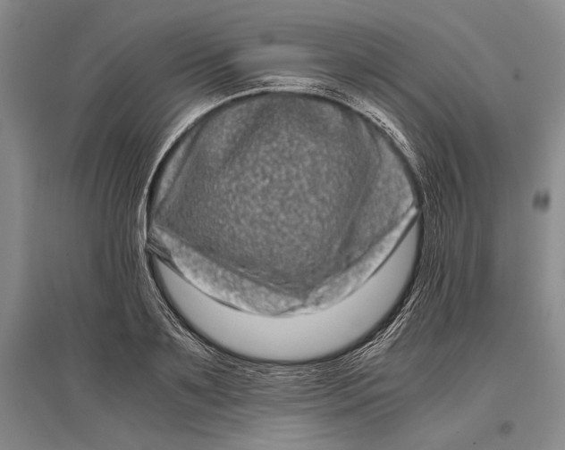 X0000096980891200802291143