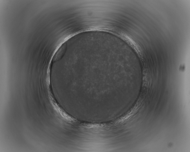 X0000096980892200802291143