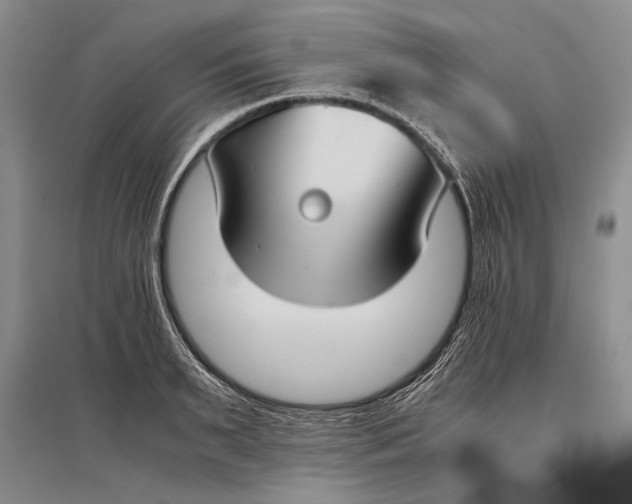 X0000096980895200802291143