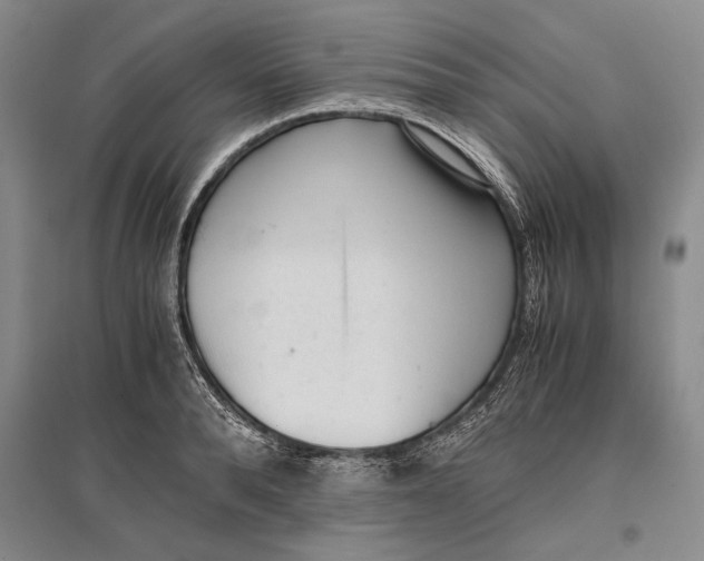 X0000096980896200802291143