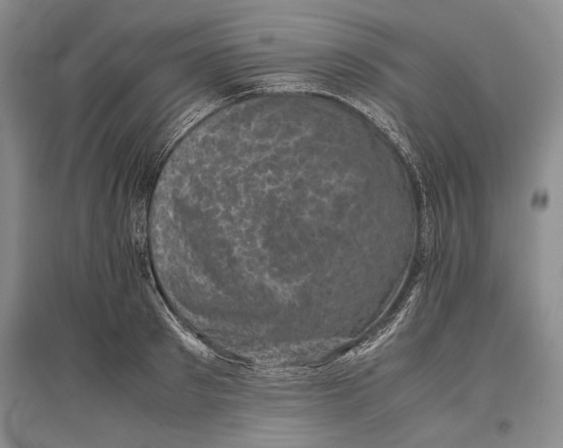 X0000096980897200802291143