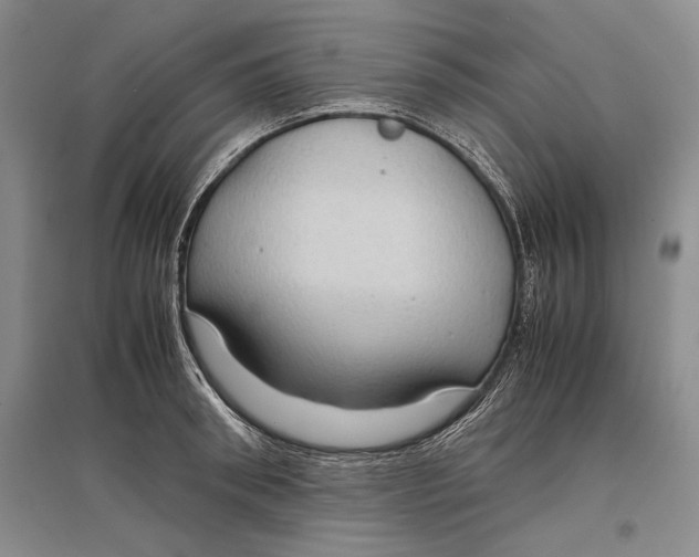 X0000096980898200802291143