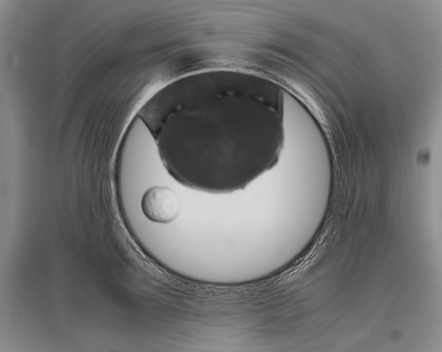 X0000096980899200802291143