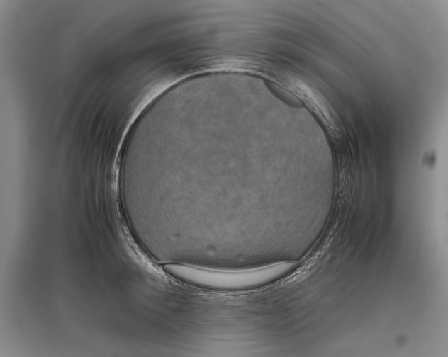 X0000096980900200802291143