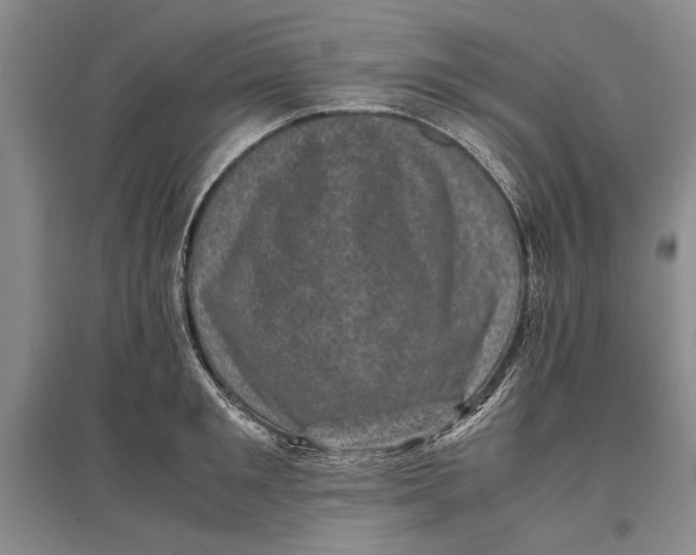 X0000096980901200802291143