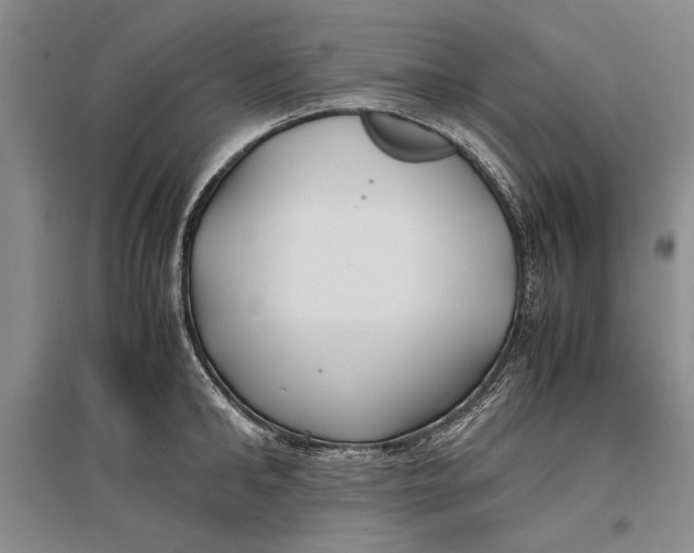 X0000096980902200802291143