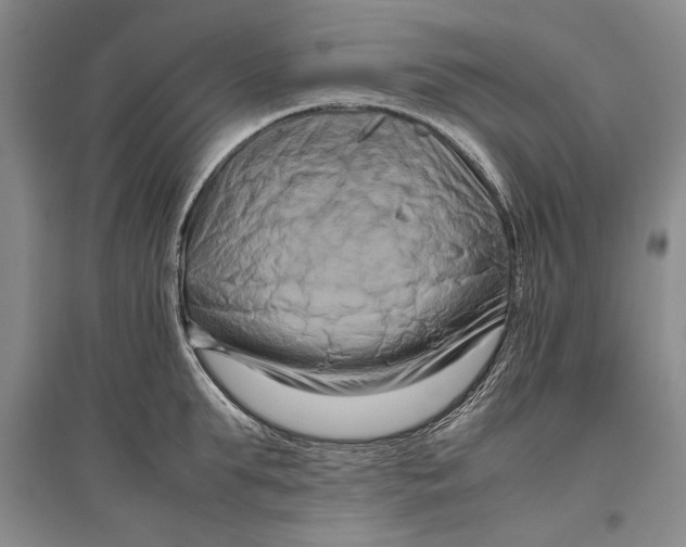 X0000096980903200802291143