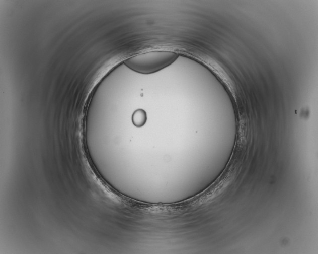 X0000096980906200802291143