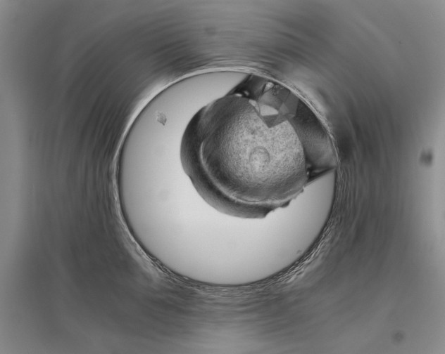 X0000096980907200802291143