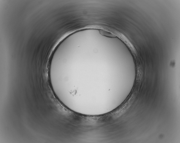 X0000096980908200802291143