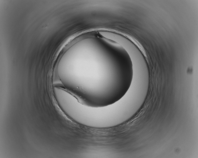 X0000096980911200802291143