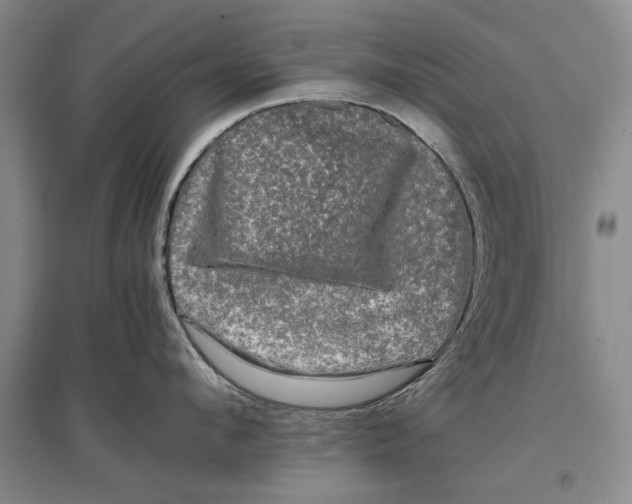 X0000096980912200802291143