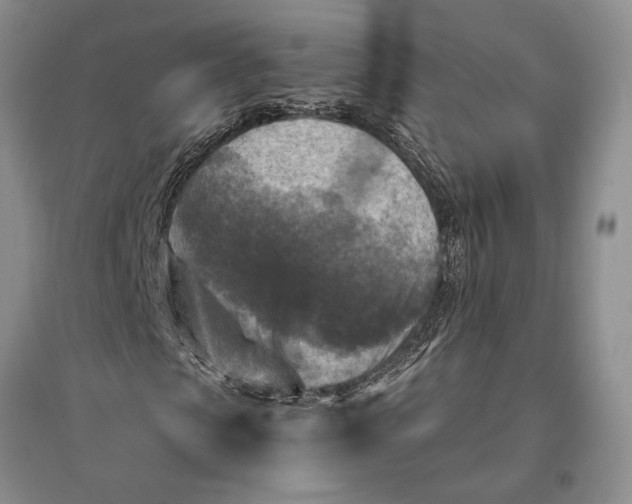 X0000096980913200802291142