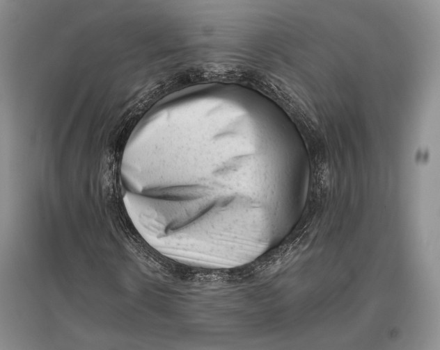 X0000096980914200802291142