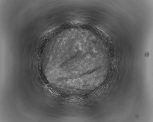 X0000096980917200802291142