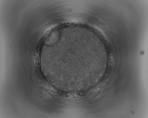 X0000096980918200802291142