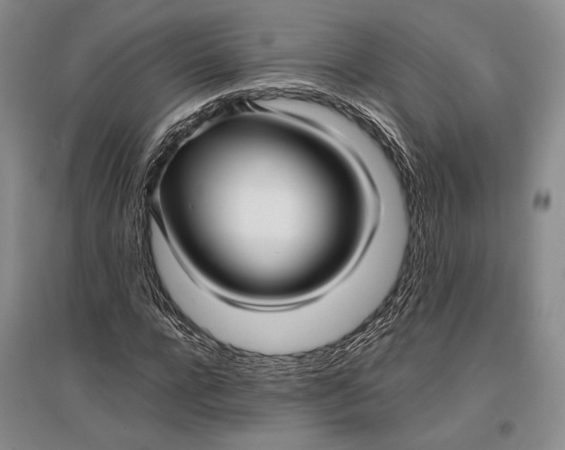 X0000096980920200802291142