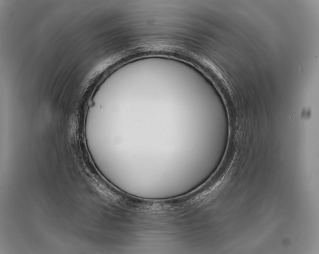 X0000096980922200802291142