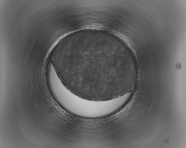 X0000096980923200802291142