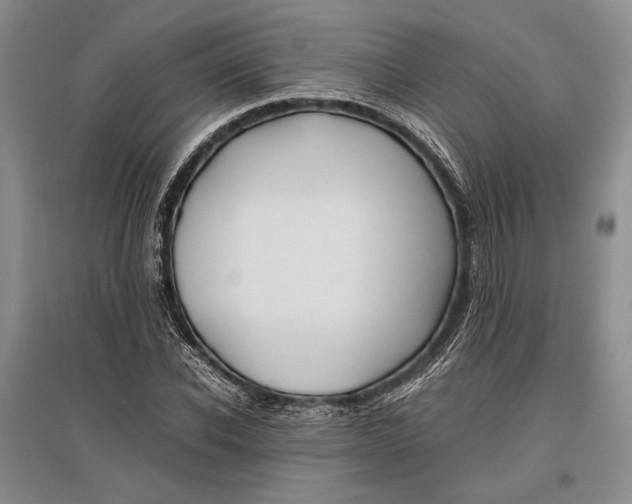 X0000096980926200802291142