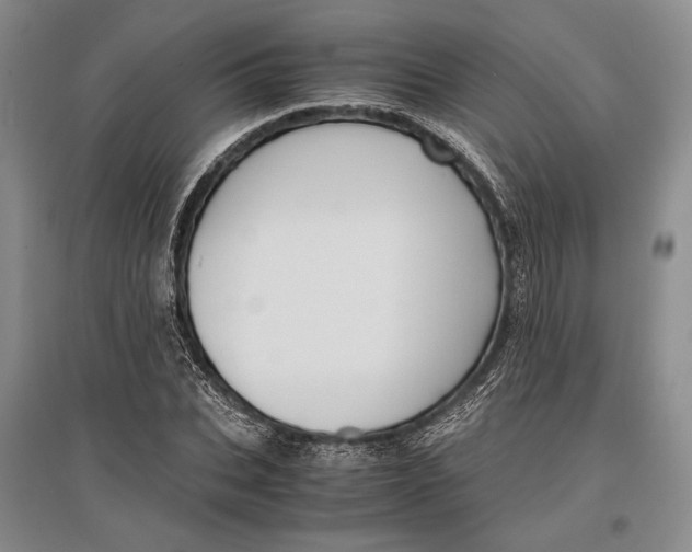 X0000096980927200802291142