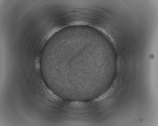 X0000096980929200802291142