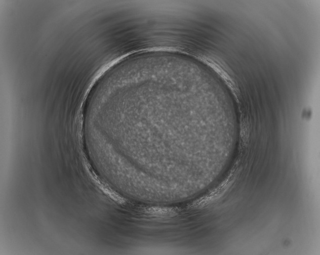 X0000096980933200802291142