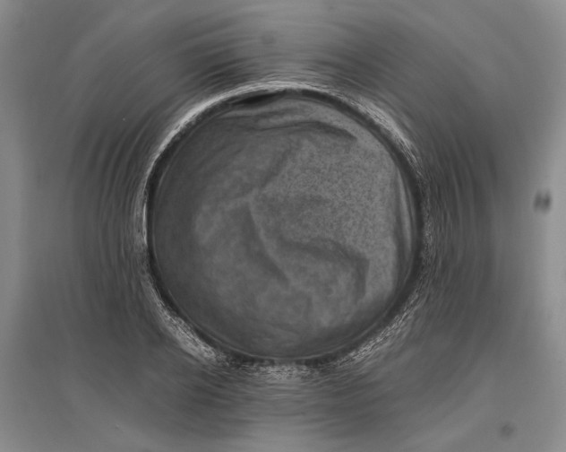 X0000096980934200802291142