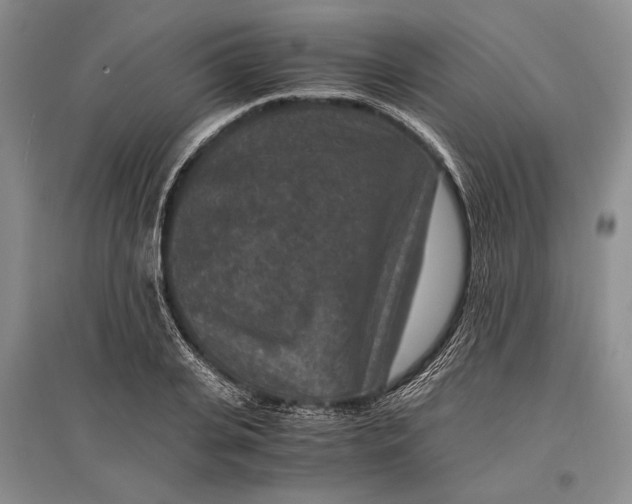 X0000096980935200802291142