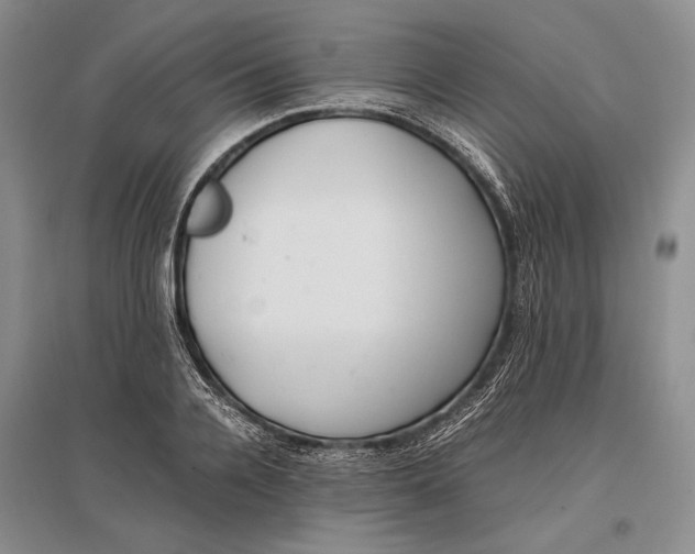 X0000096980936200802291142