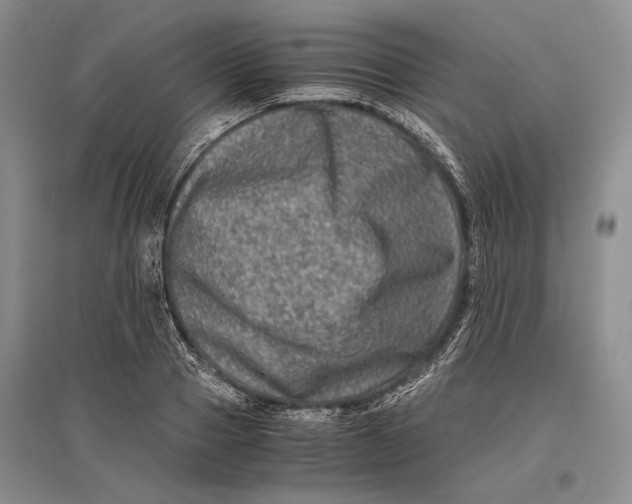 X0000096980937200802291142