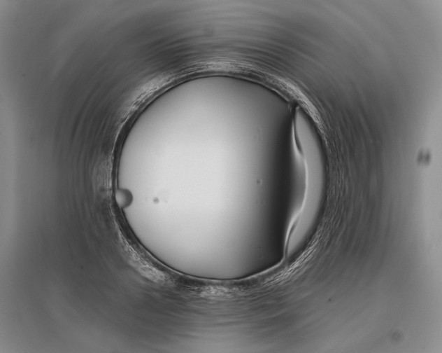 X0000096980938200802291142