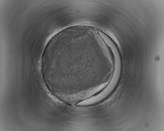 X0000096980944200802291142