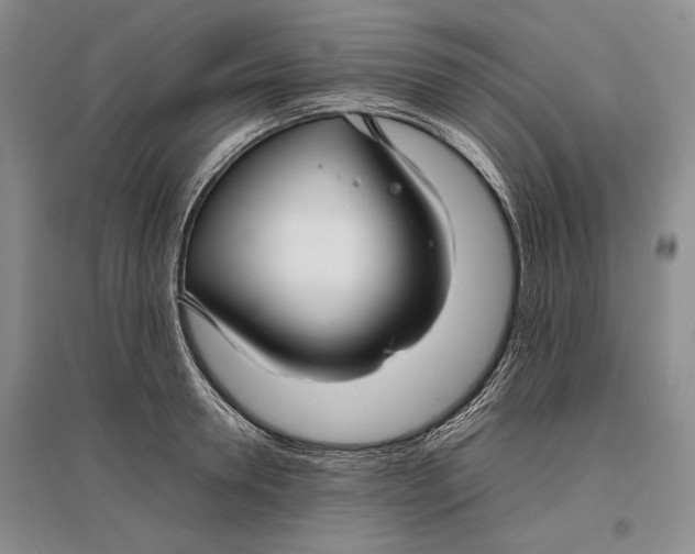 X0000096980946200802291143