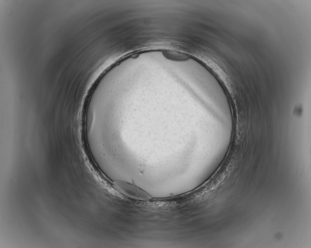 X0000096980949200802291143