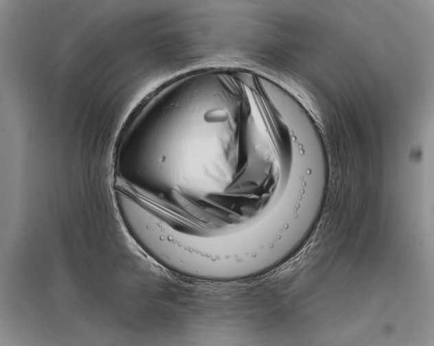 X0000096980950200802291143