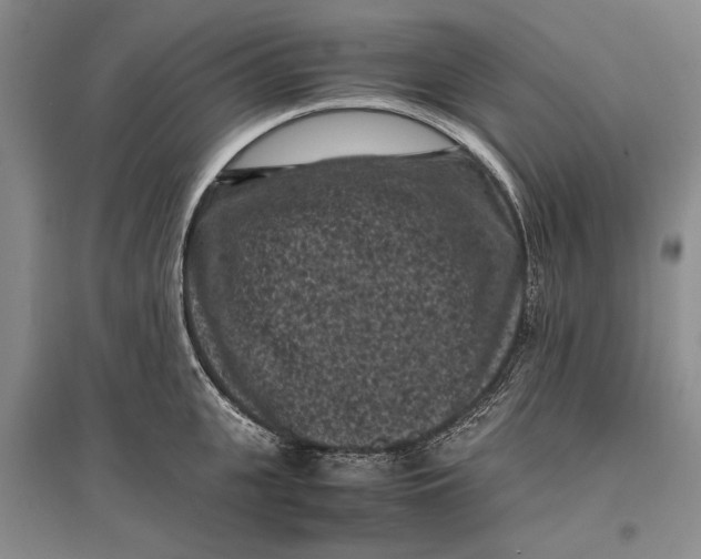 X0000096980951200802291143