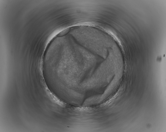 X0000096980952200802291143