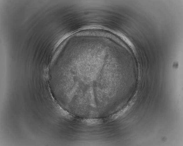 X0000096980953200802291143