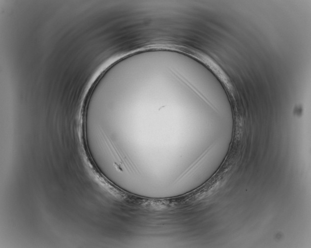 X0000096980955200802291143