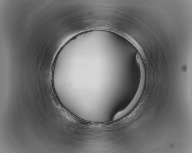 X0000096980956200802291143